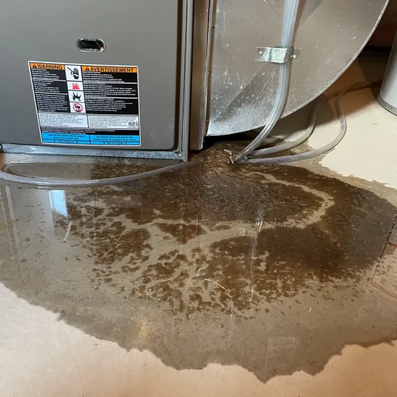 Appliance Leak Cleanup in Aguadilla, PR